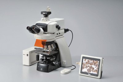 флуоресцентный микроскоп